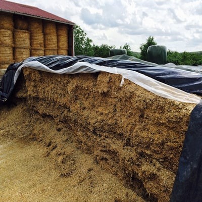 Bâche plastique d'ensilage noir/blanc, le rouleau de 10m x 50m (150 mic/500  m2), Bâches plastiques d'ensilage, Protection des silos