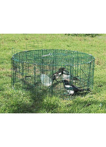 piege cage à pie 5 compartiments chasse haute-marne foulain cobevim