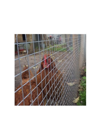 GRILLAGE POULES PRO 50/50 1.50 x 25M